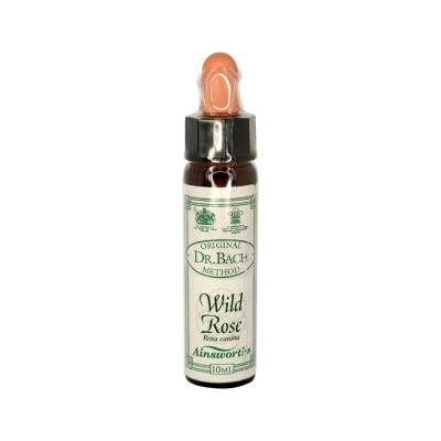 Ainsworths Original Dr. Bach Method Flower Essence Wild Rose 10ml